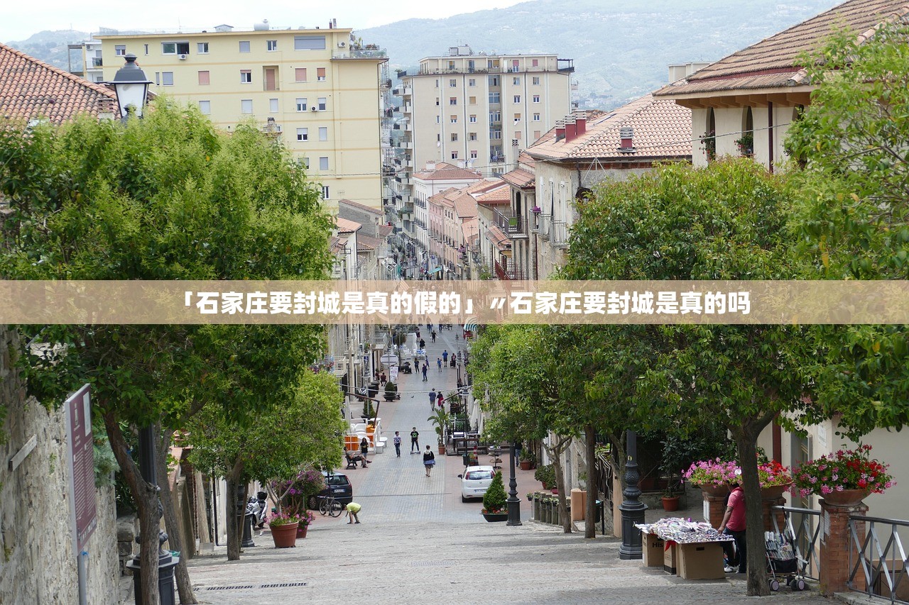 「石家庄要封城是真的假的」〃石家庄要封城是真的吗