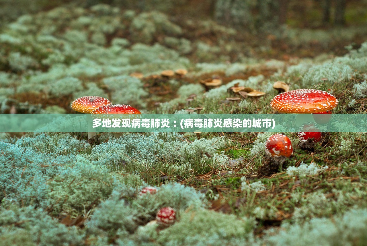 多地发现病毒肺炎︰(病毒肺炎感染的城市)