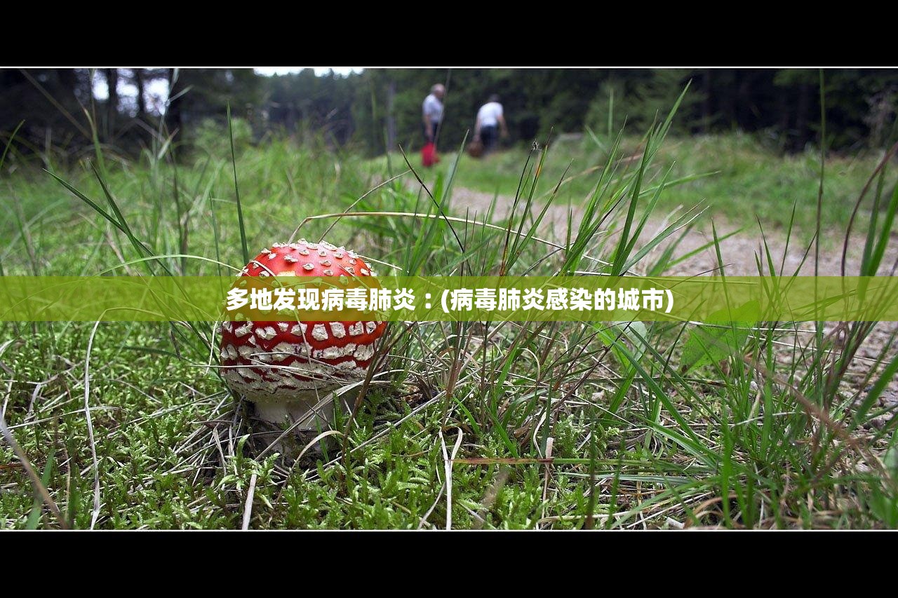 多地发现病毒肺炎︰(病毒肺炎感染的城市)