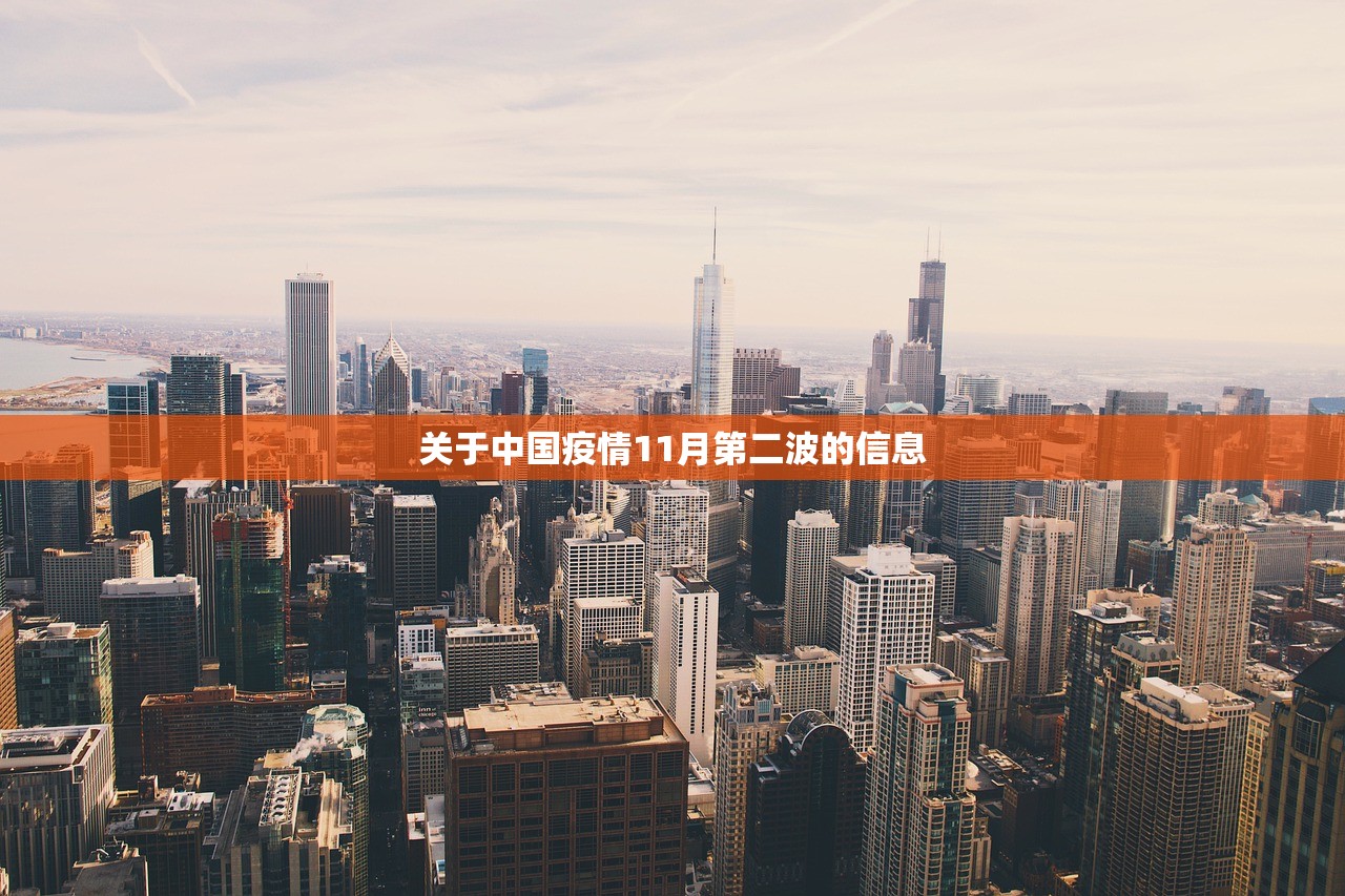 关于中国疫情11月第二波的信息