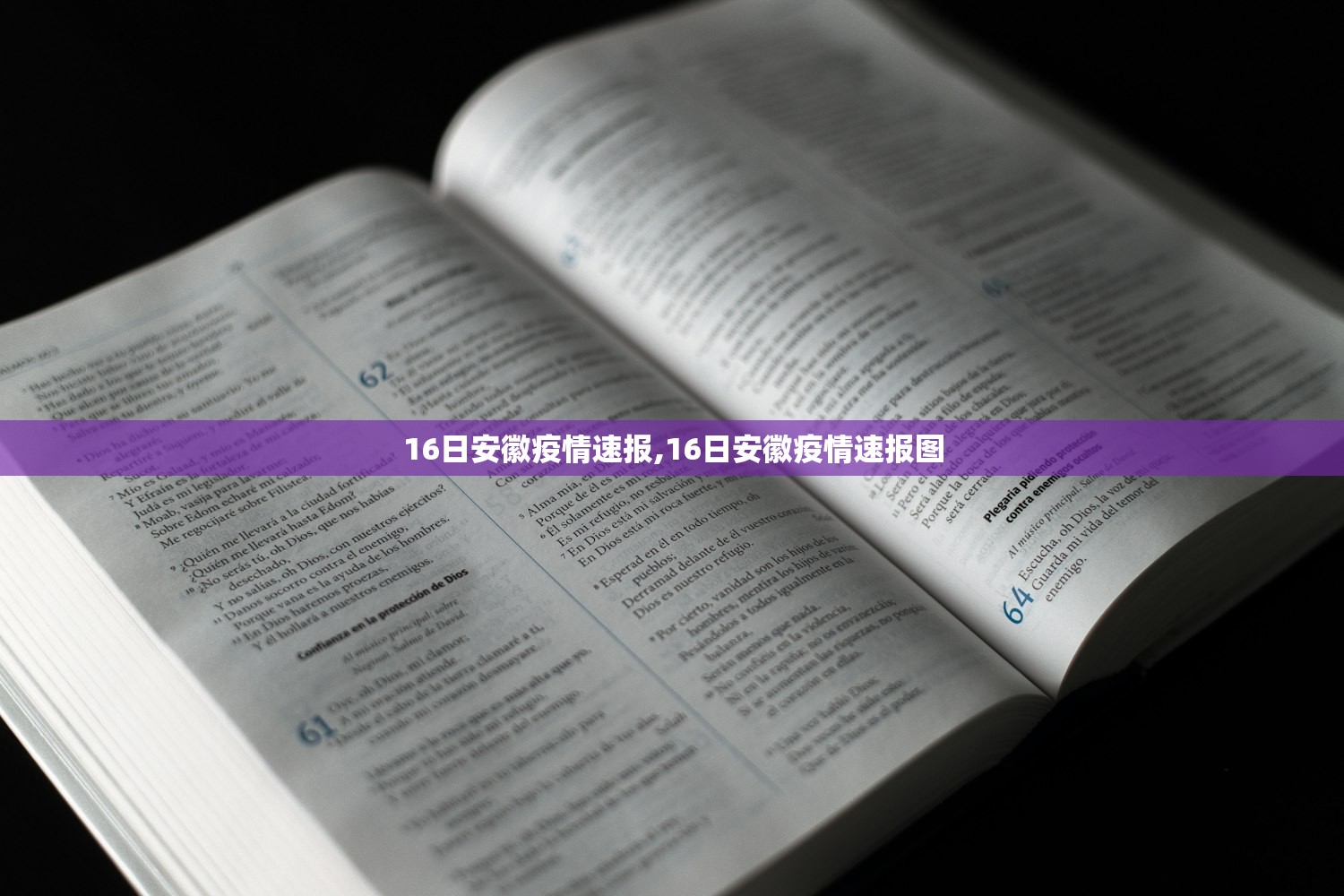 16日安徽疫情速报,16日安徽疫情速报图