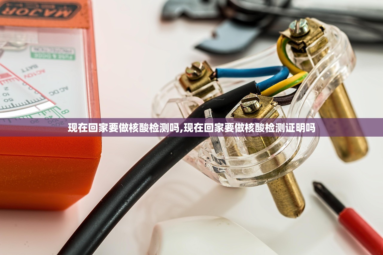 现在回家要做核酸检测吗,现在回家要做核酸检测证明吗