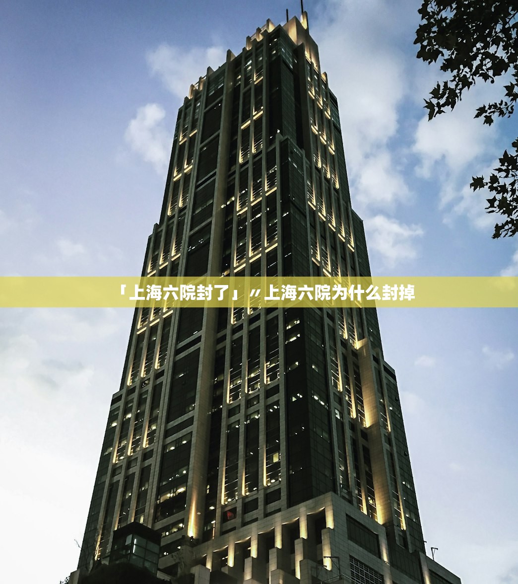 「上海六院封了」〃上海六院为什么封掉