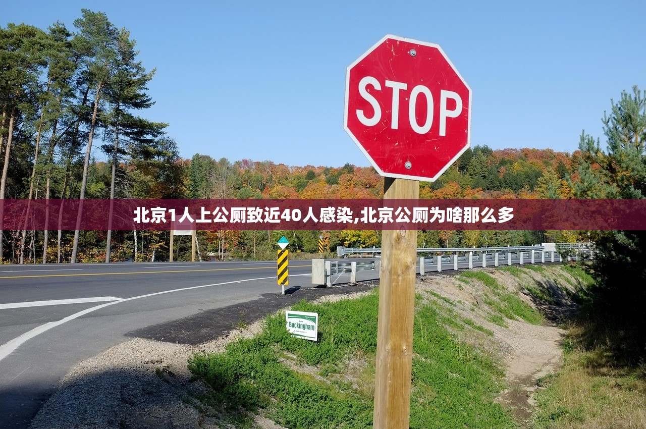 北京1人上公厕致近40人感染,北京公厕为啥那么多