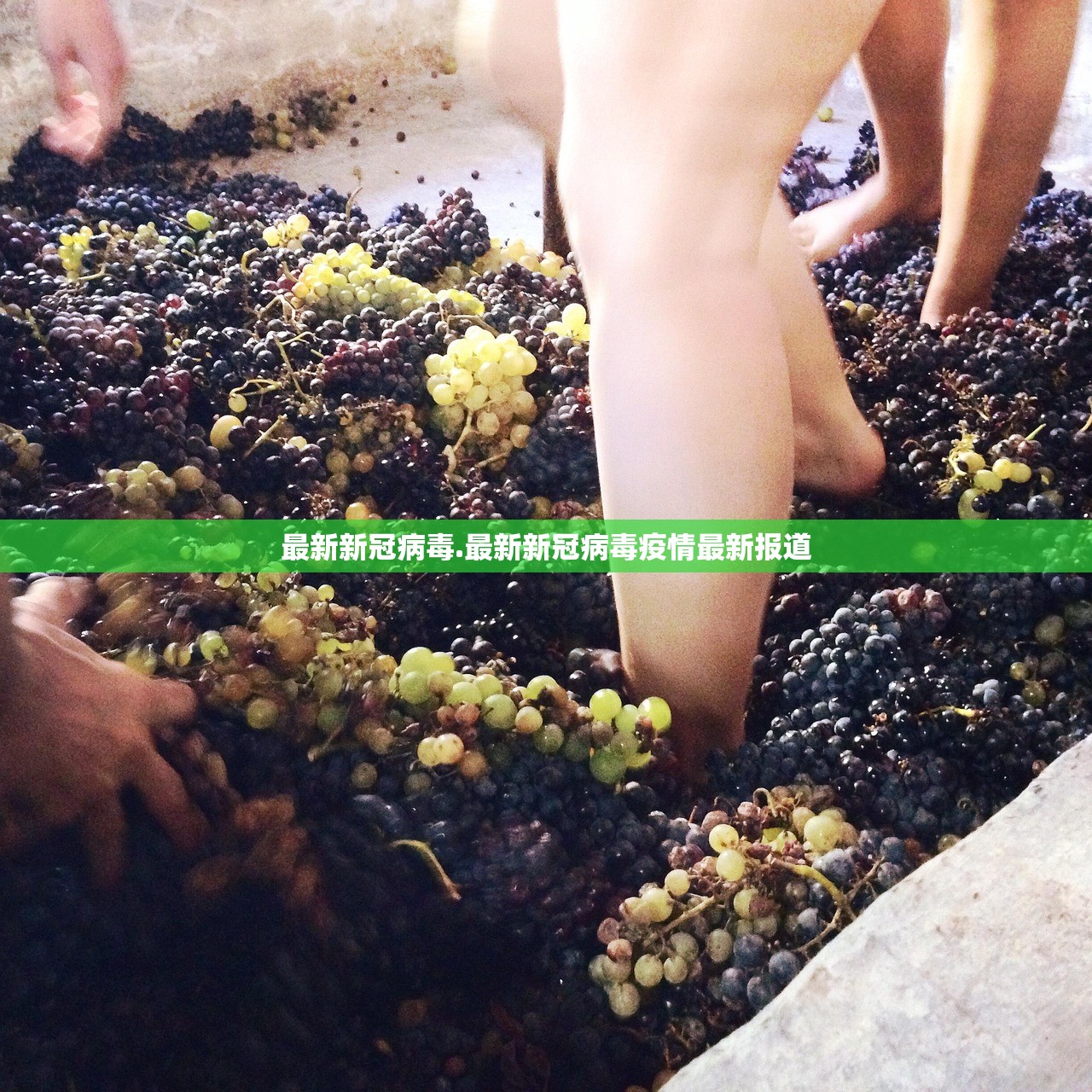 最新新冠病毒.最新新冠病毒疫情最新报道