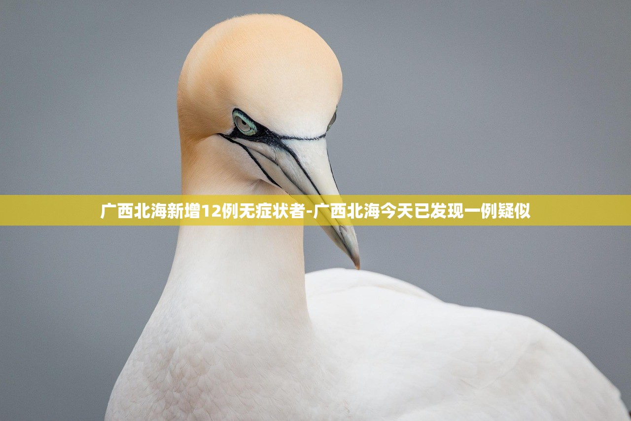 广西北海新增12例无症状者-广西北海今天已发现一例疑似