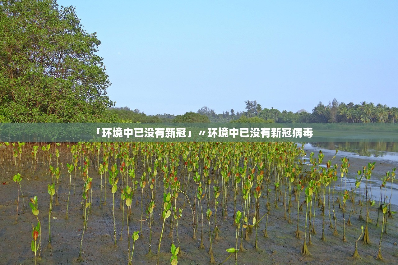 「环境中已没有新冠」〃环境中已没有新冠病毒