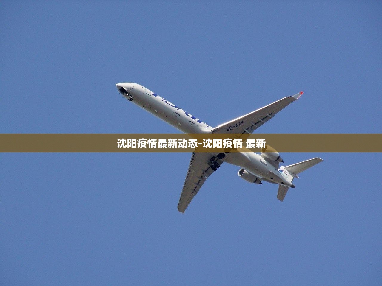 沈阳疫情最新动态-沈阳疫情 最新