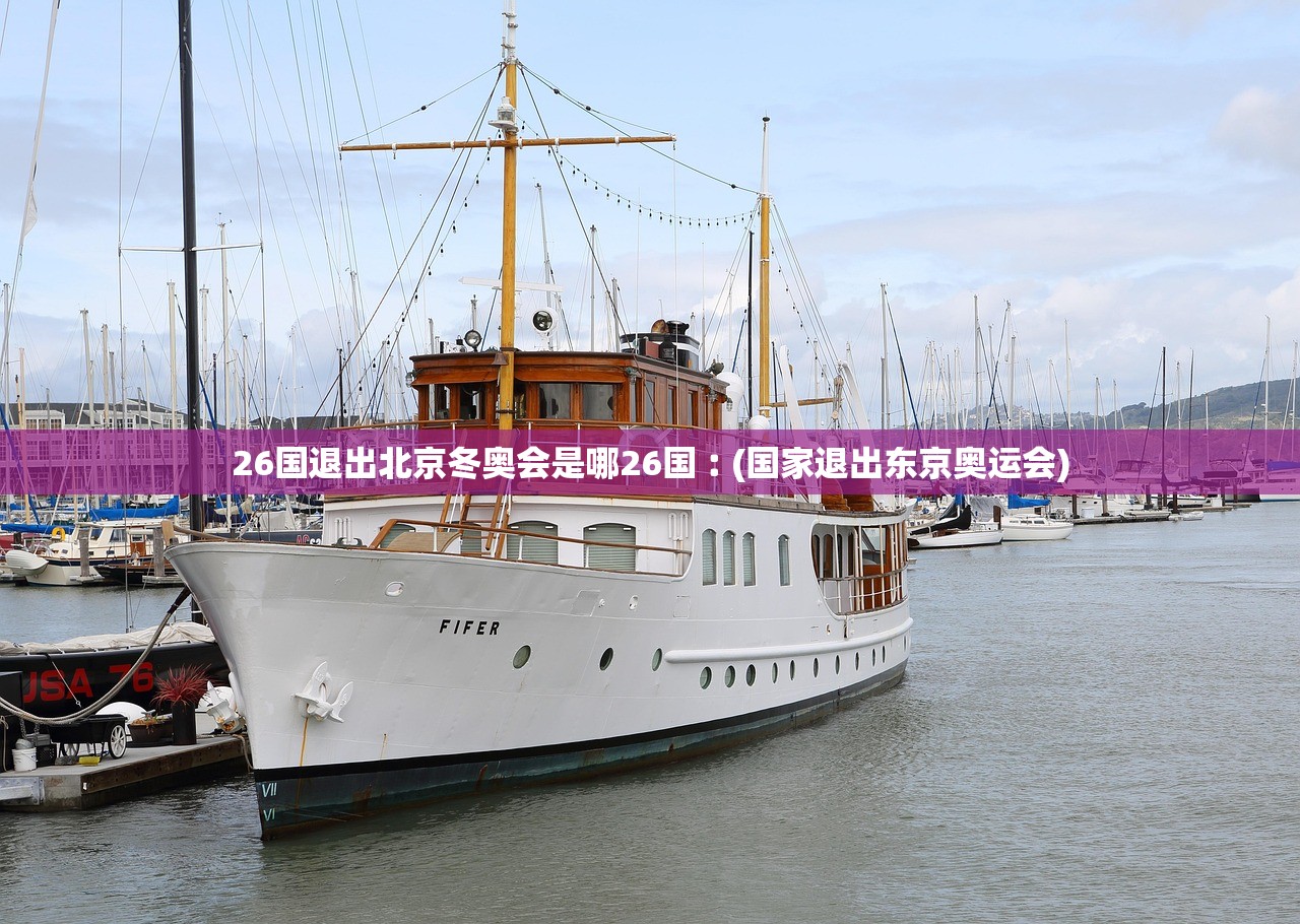 26国退出北京冬奥会是哪26国︰(国家退出东京奥运会)