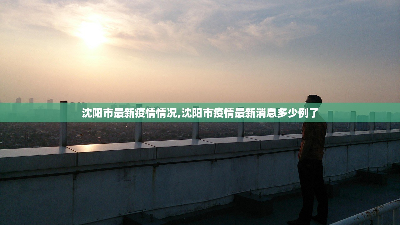 沈阳市最新疫情情况,沈阳市疫情最新消息多少例了