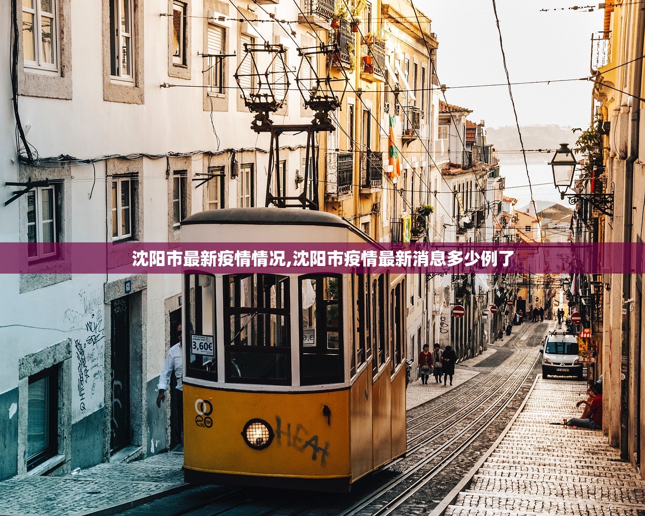 沈阳市最新疫情情况,沈阳市疫情最新消息多少例了