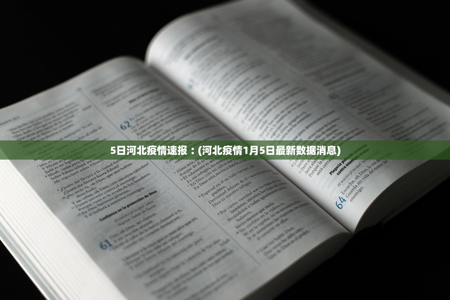 5日河北疫情速报︰(河北疫情1月5日最新数据消息)
