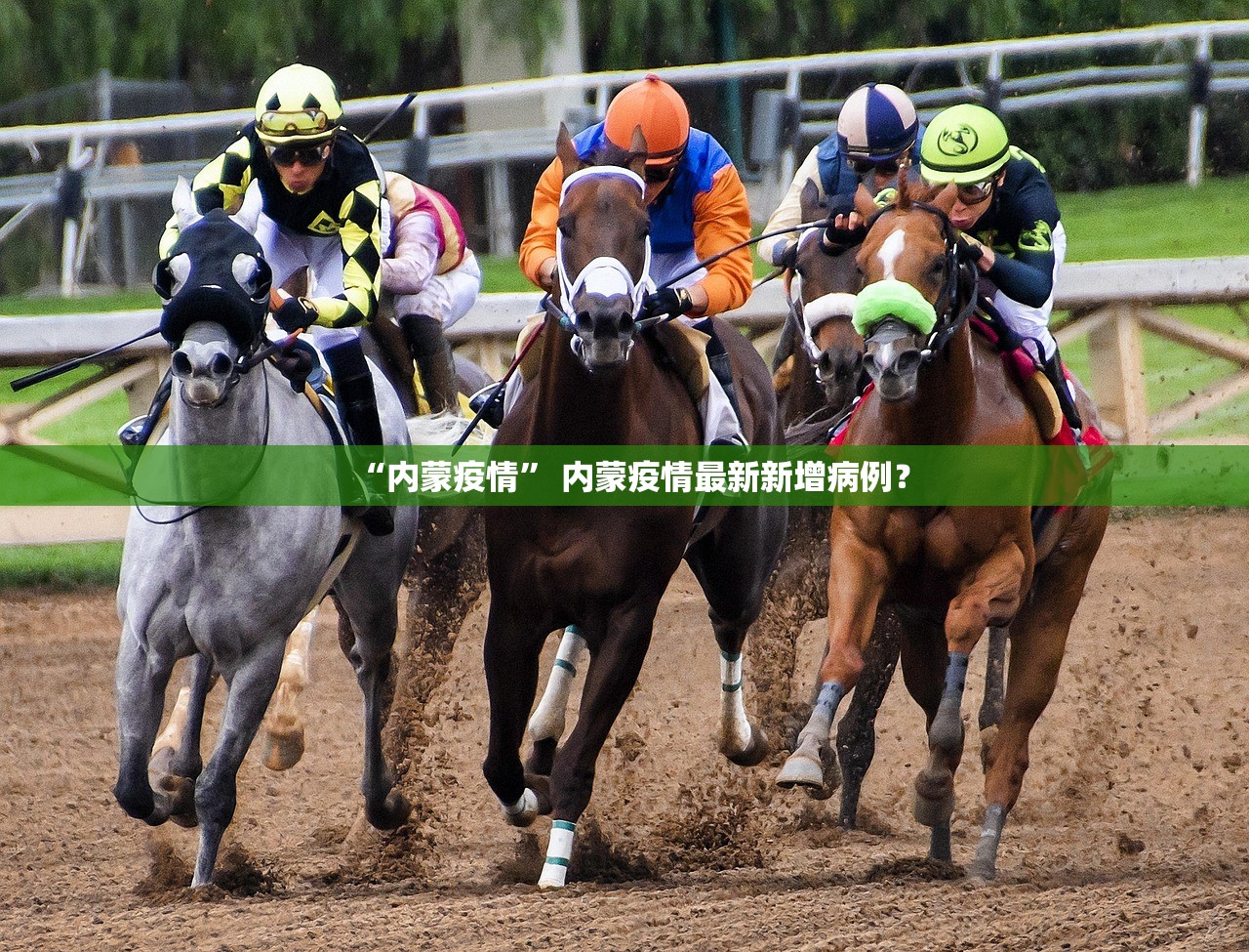 “内蒙疫情	” 内蒙疫情最新新增病例？