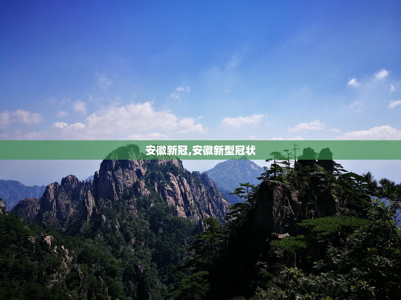 安徽新冠,安徽新型冠状