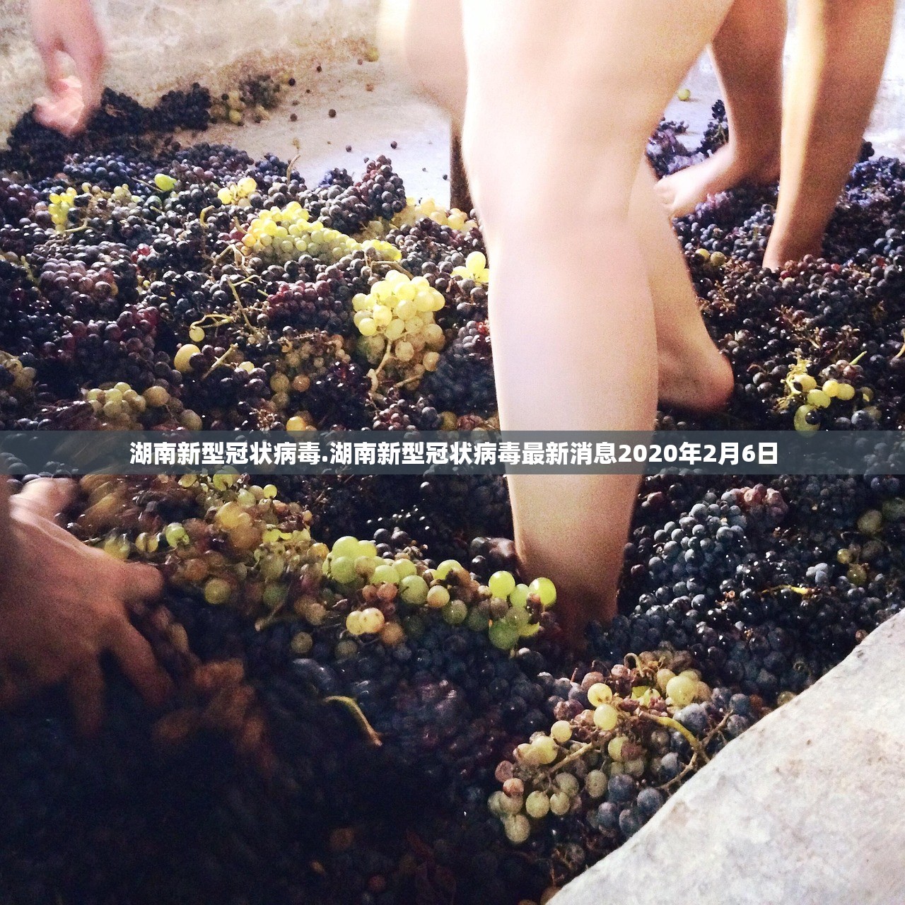 湖南新型冠状病毒.湖南新型冠状病毒最新消息2020年2月6日
