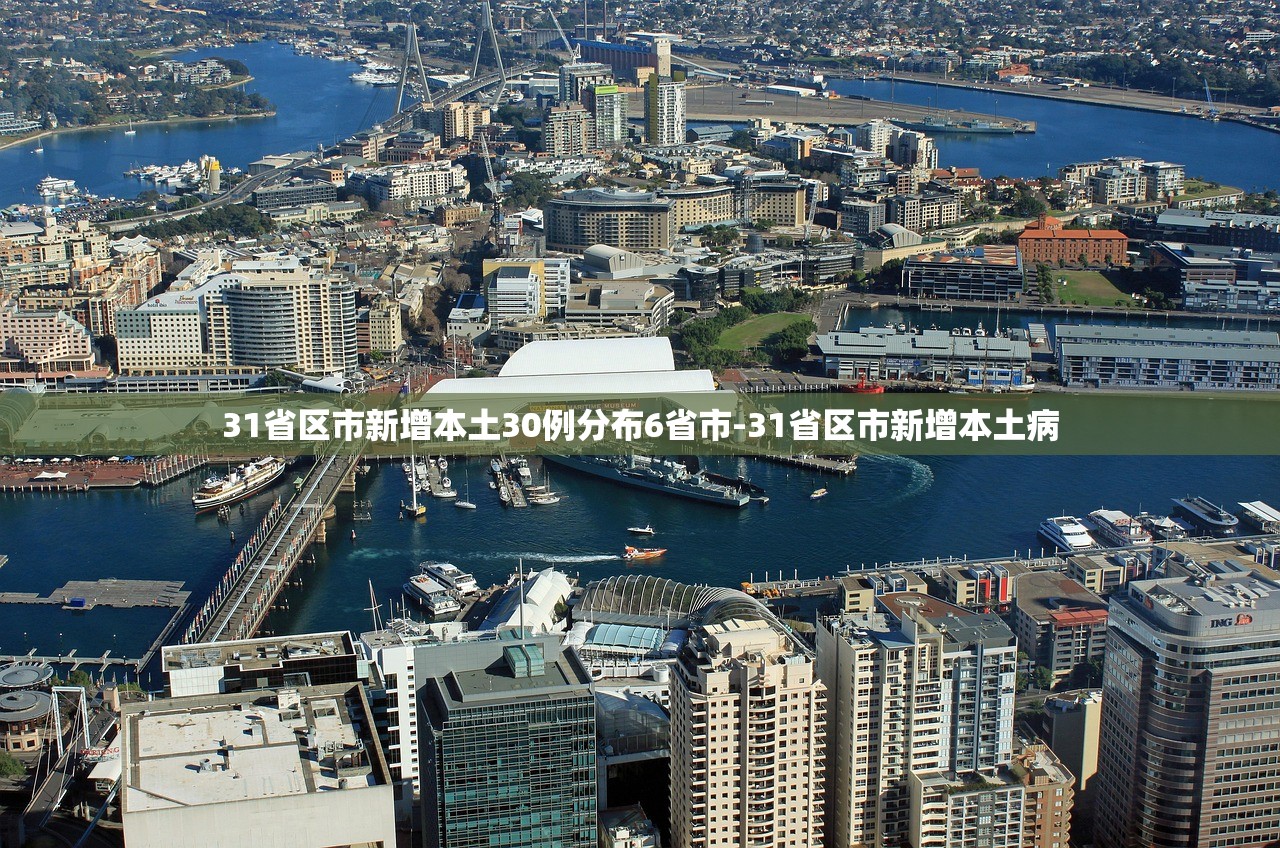 31省区市新增本土30例分布6省市-31省区市新增本土病