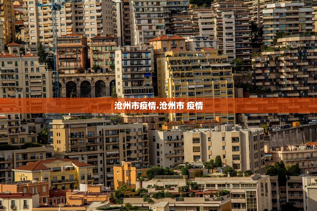 沧州市疫情.沧州市 疫情