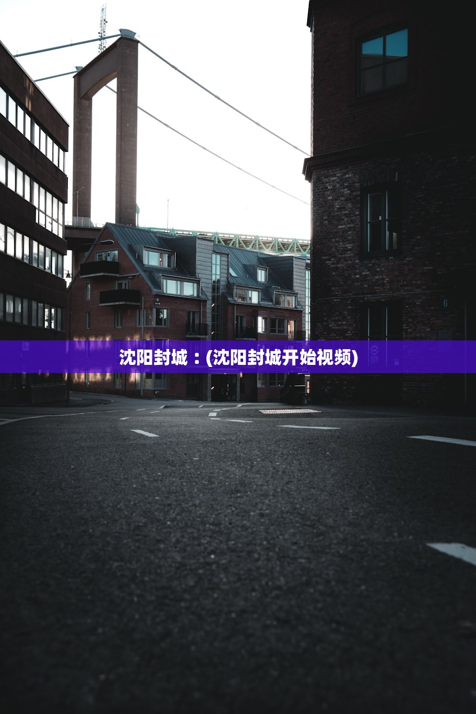 沈阳封城︰(沈阳封城开始视频)