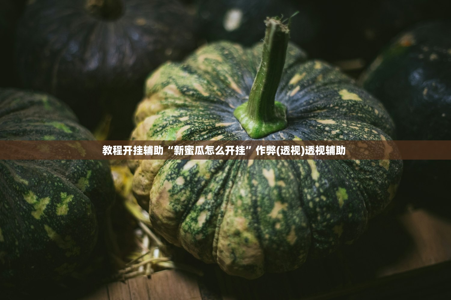 教程开挂辅助“新蜜瓜怎么开挂”作弊(透视)透视辅助 