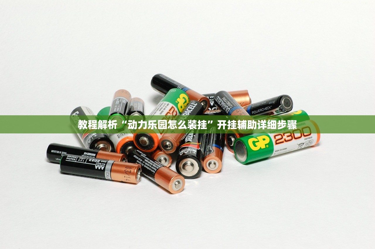 教程解析“动力乐园怎么装挂”开挂辅助详细步骤