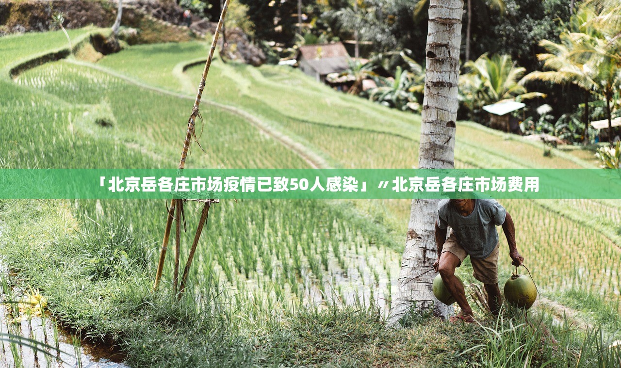 「北京岳各庄市场疫情已致50人感染」〃北京岳各庄市场费用