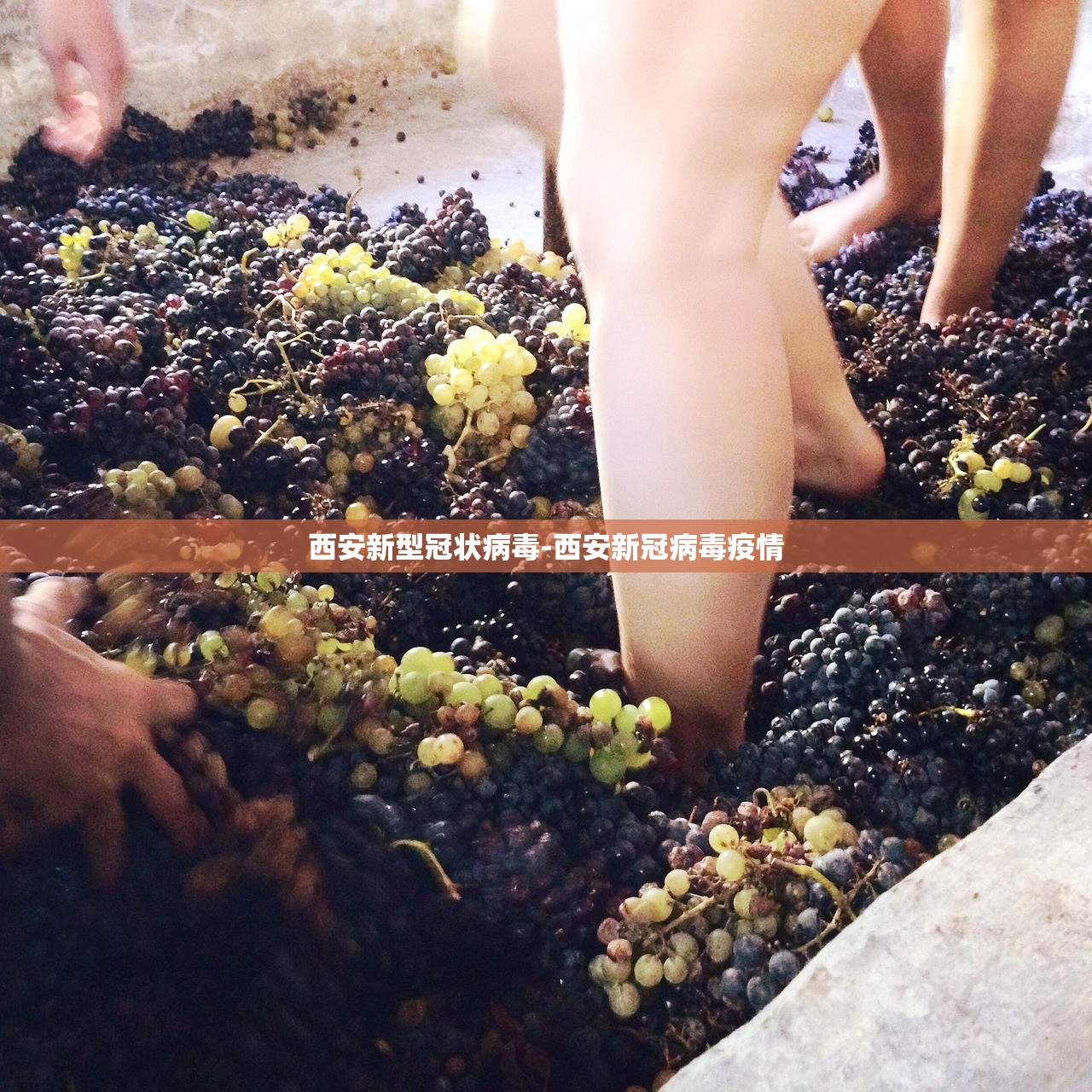 今日教程“永乐同城是可以开挂”开挂详细教程