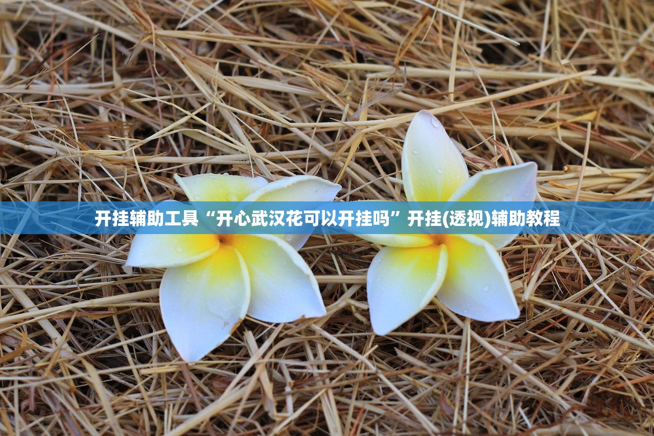 开挂辅助工具“开心武汉花可以开挂吗”开挂(透视)辅助教程