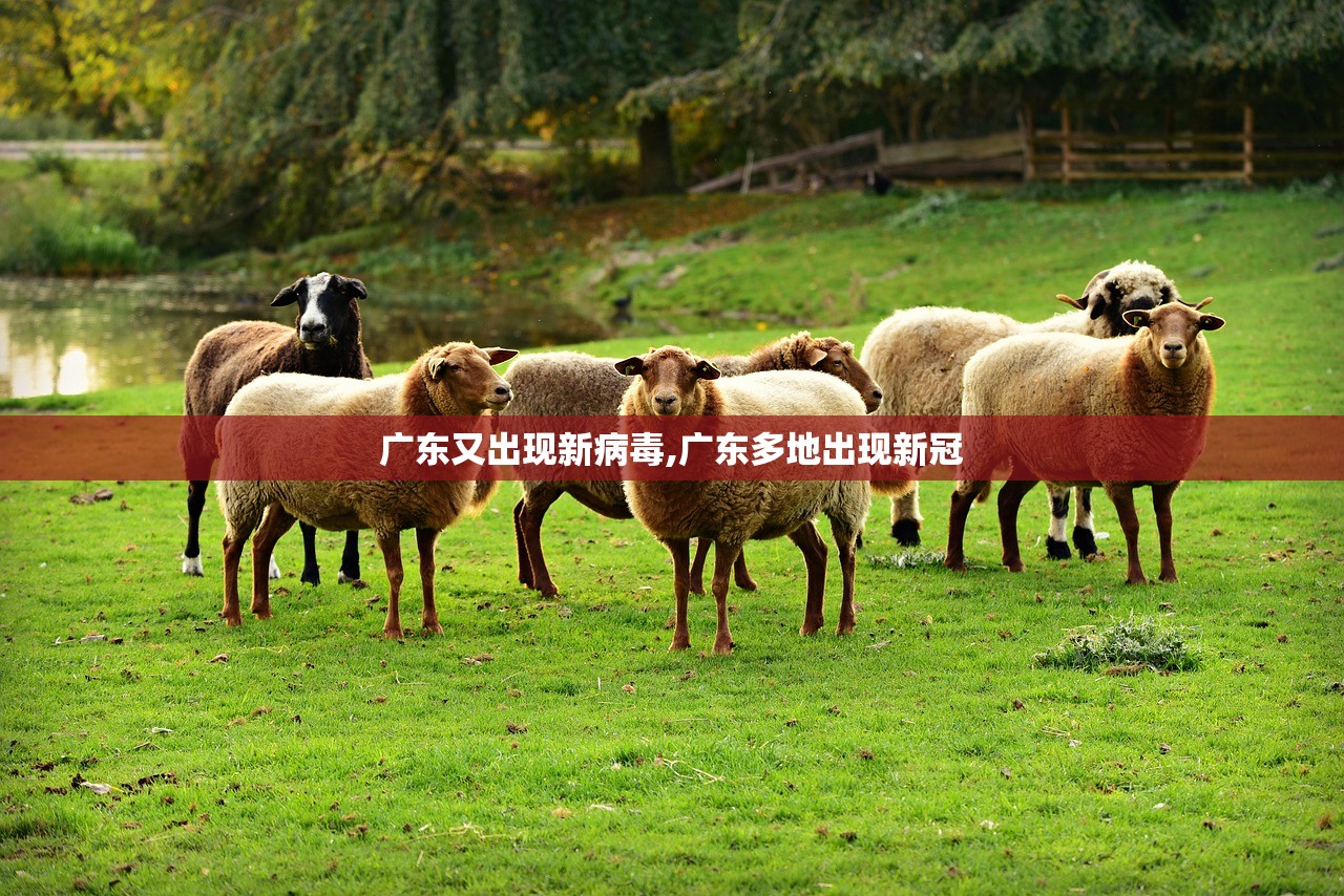 广东又出现新病毒,广东多地出现新冠