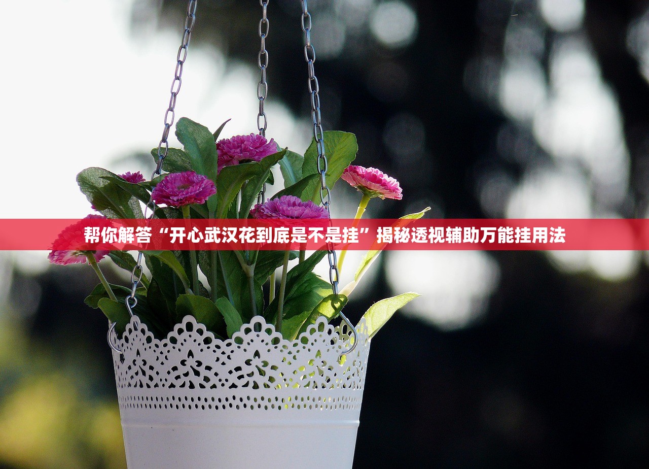 帮你解答“开心武汉花到底是不是挂	”揭秘透视辅助万能挂用法