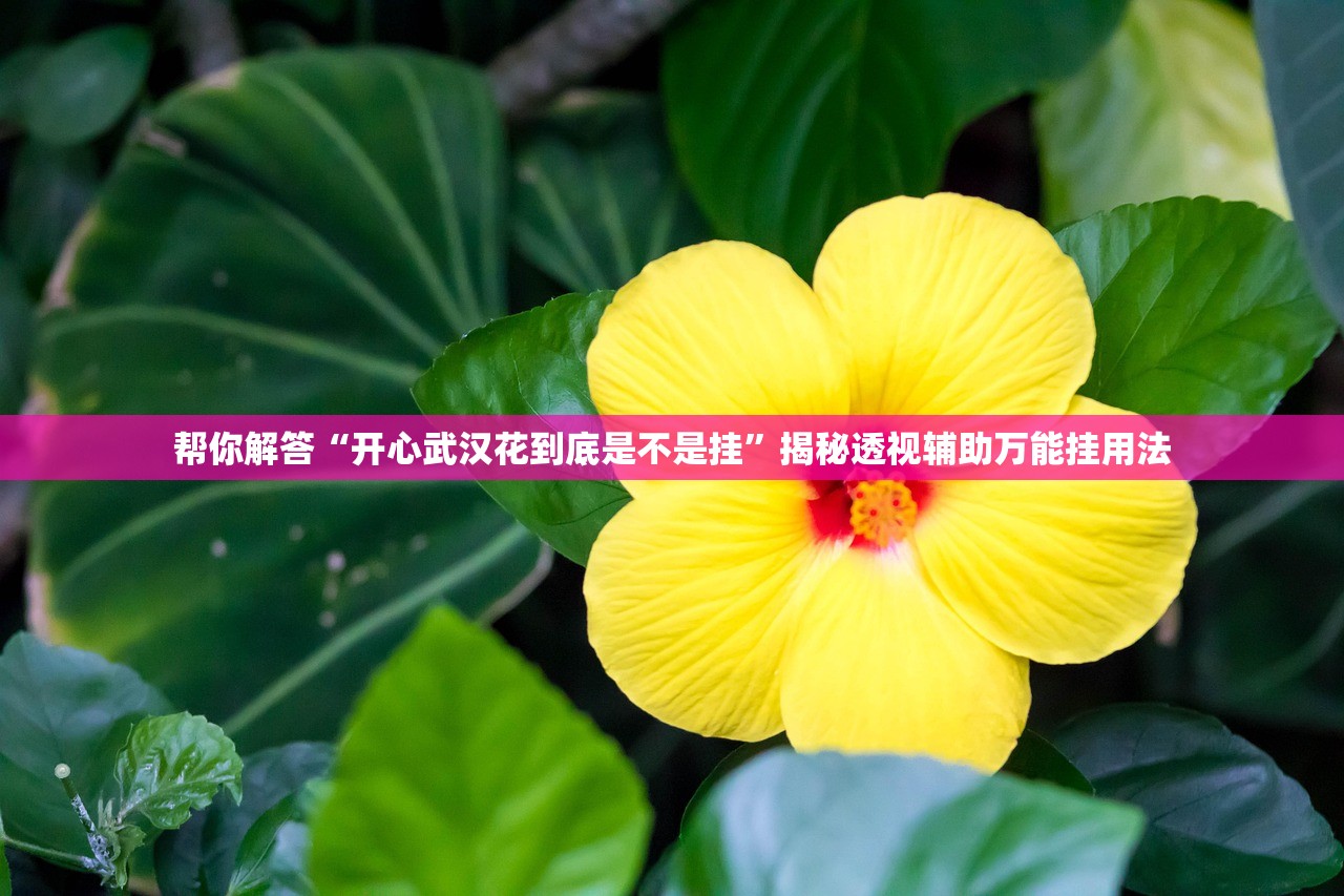 帮你解答“开心武汉花到底是不是挂”揭秘透视辅助万能挂用法