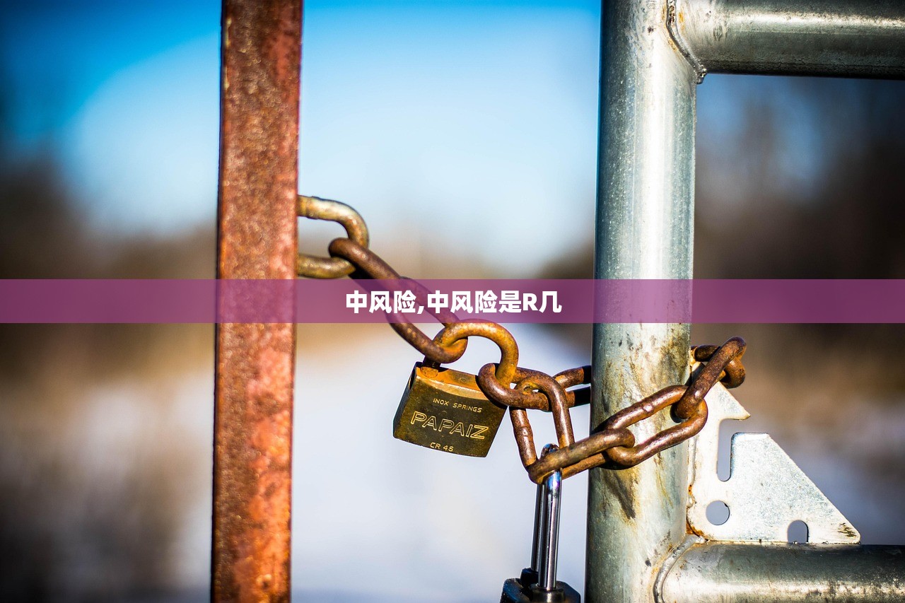 中风险,中风险是R几