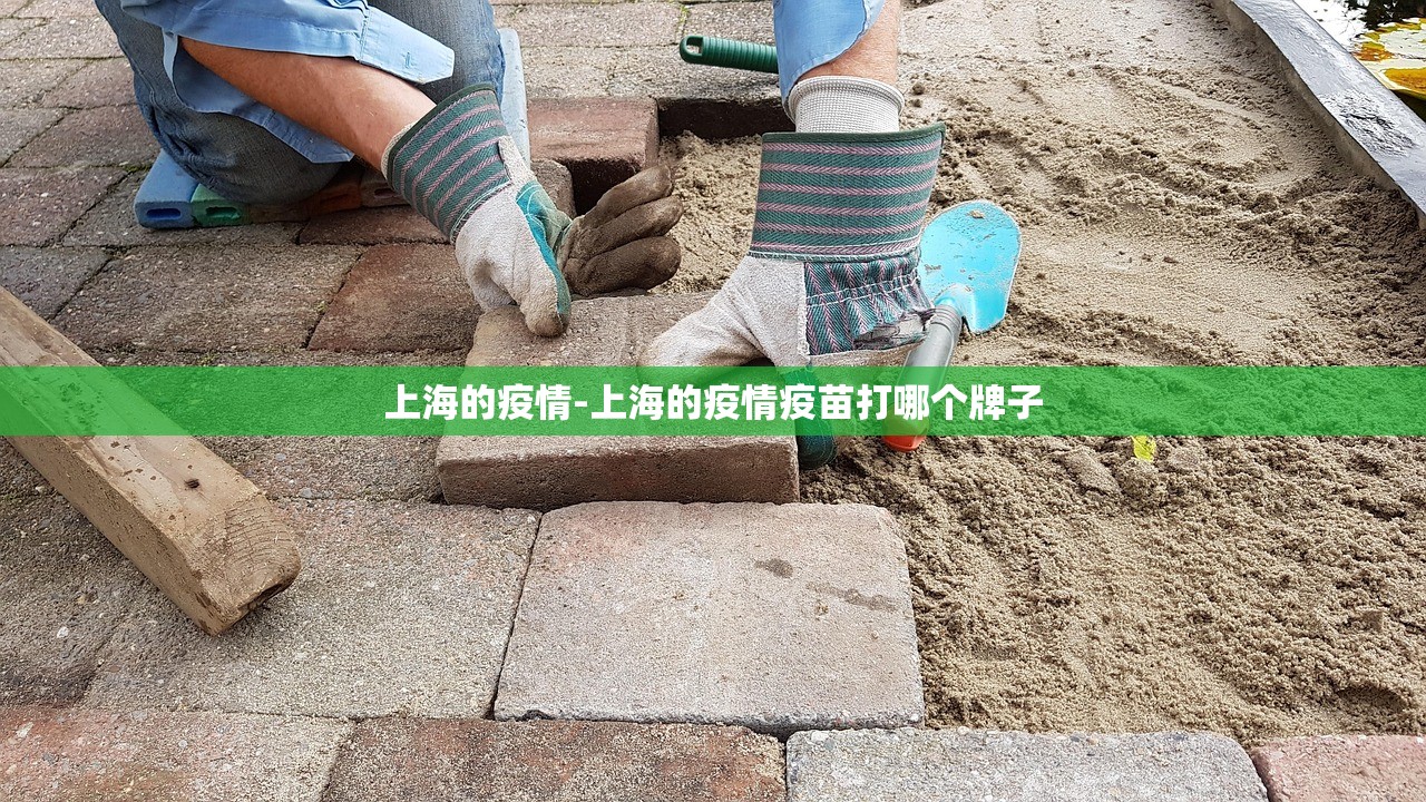 上海的疫情-上海的疫情疫苗打哪个牌子