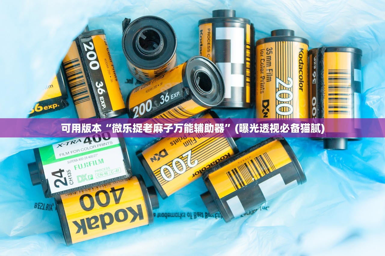 可用版本“微乐捉老麻子万能辅助器	”(曝光透视必备猫腻)