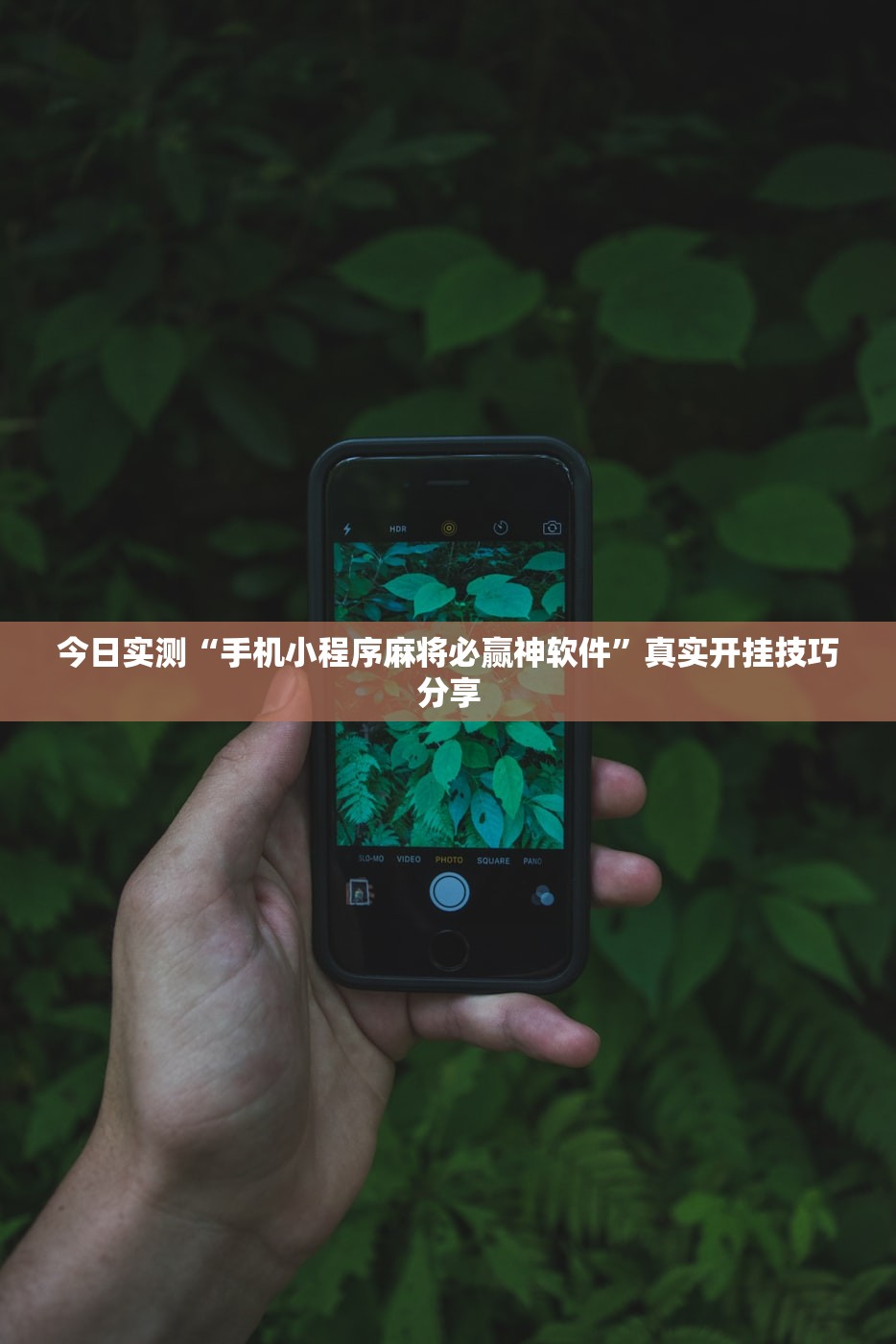 今日实测“手机小程序麻将必赢神软件”真实开挂技巧分享