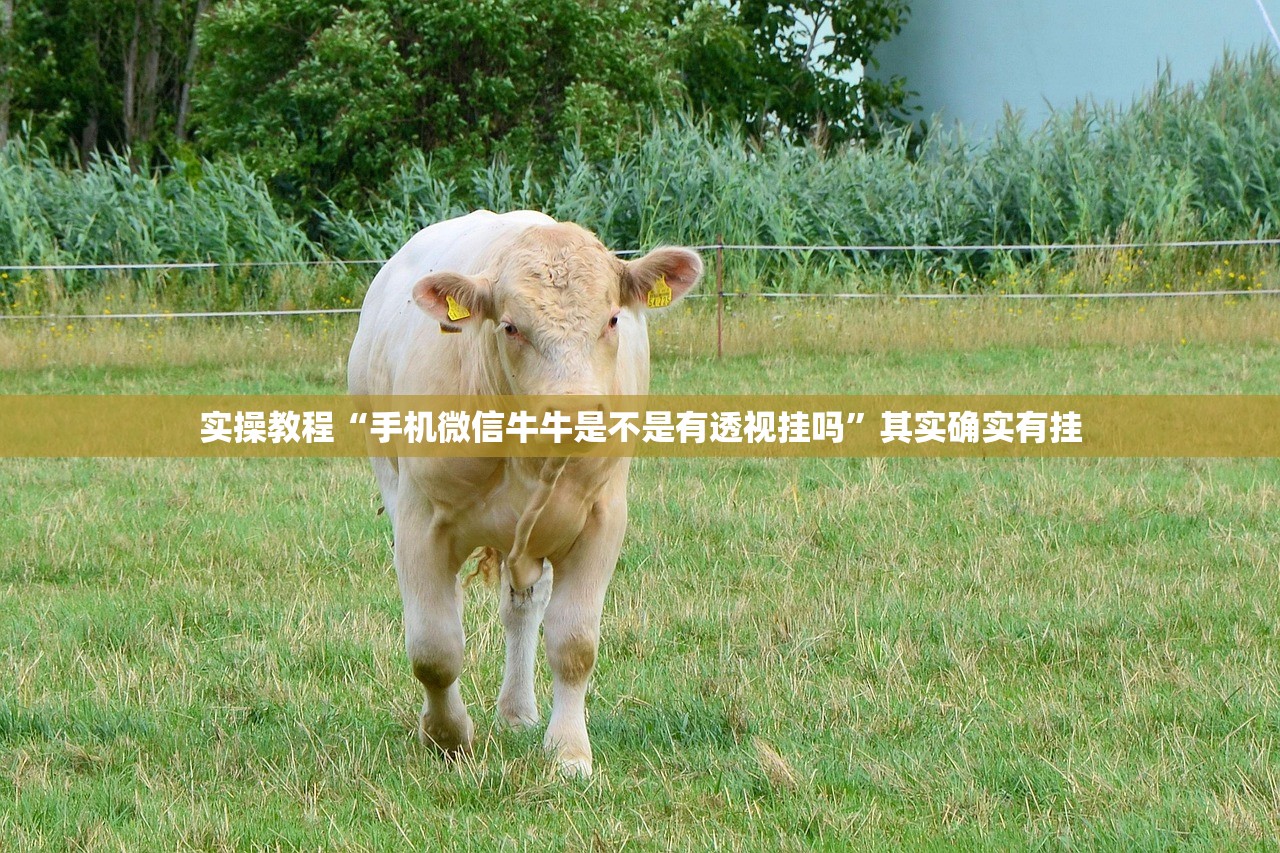 实操教程“手机微信牛牛是不是有透视挂吗”其实确实有挂