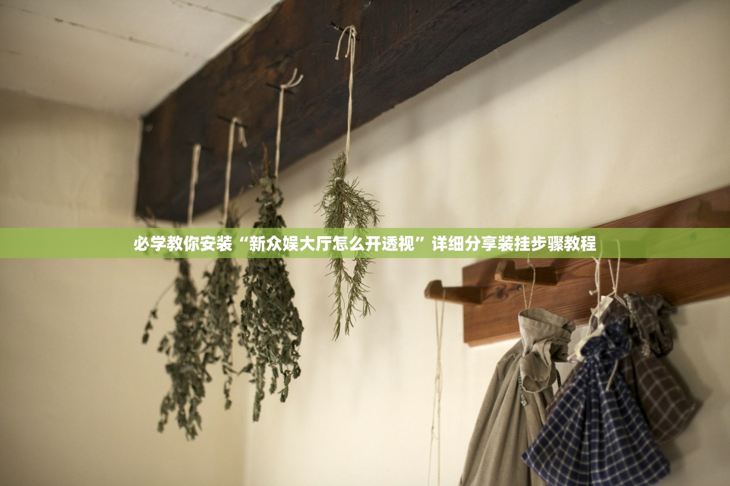 必学教你安装“新众娱大厅怎么开透视”详细分享装挂步骤教程