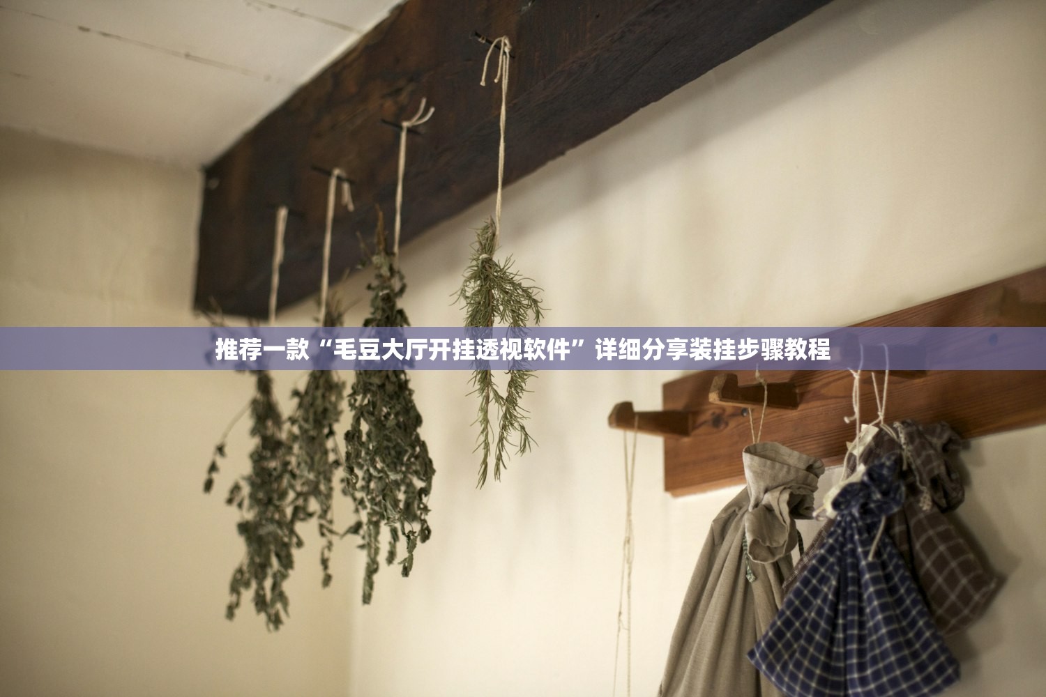 推荐一款“毛豆大厅开挂透视软件	”详细分享装挂步骤教程