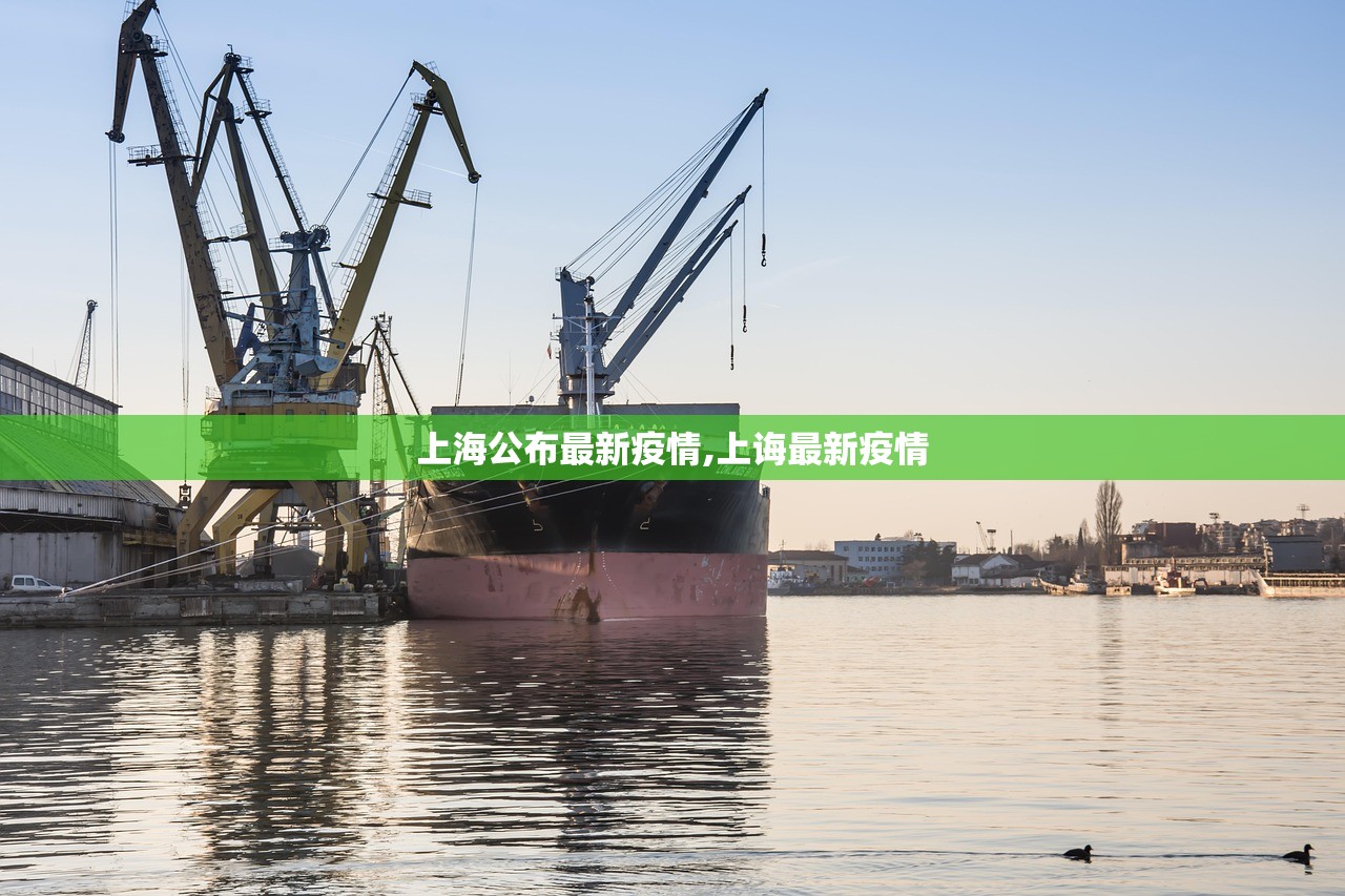 上海公布最新疫情,上诲最新疫情