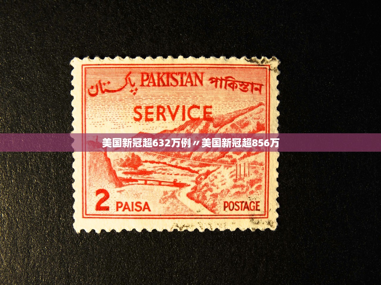美国新冠超632万例〃美国新冠超856万