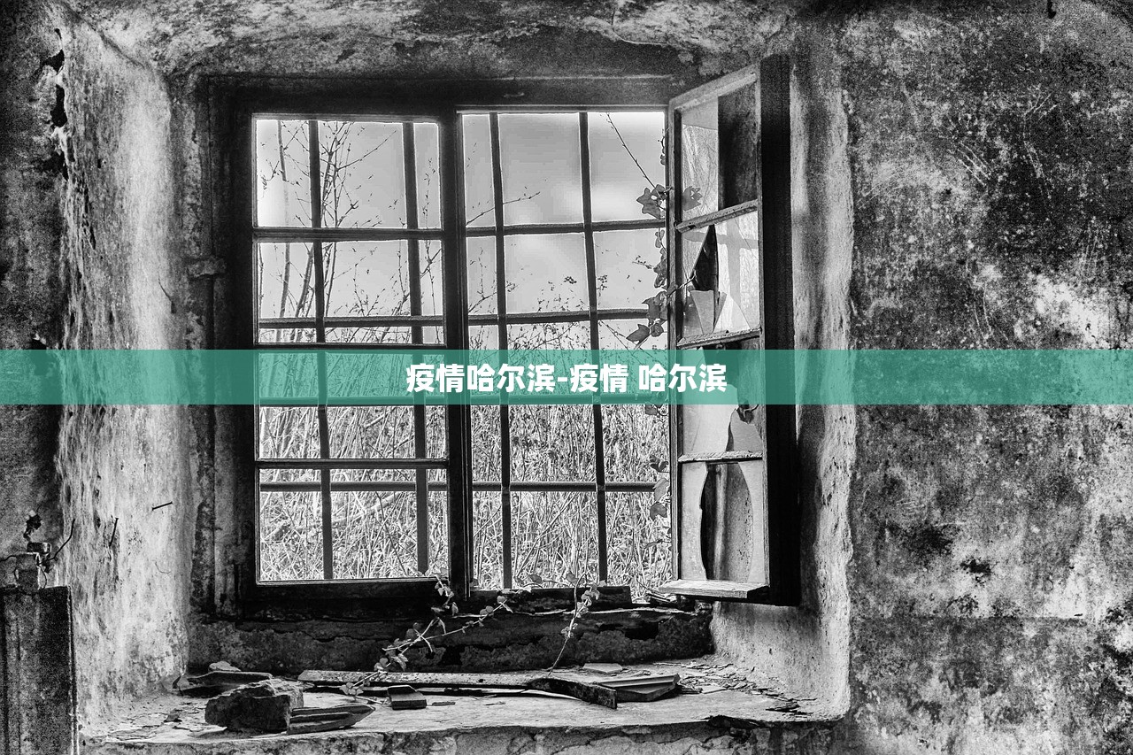 疫情哈尔滨-疫情 哈尔滨