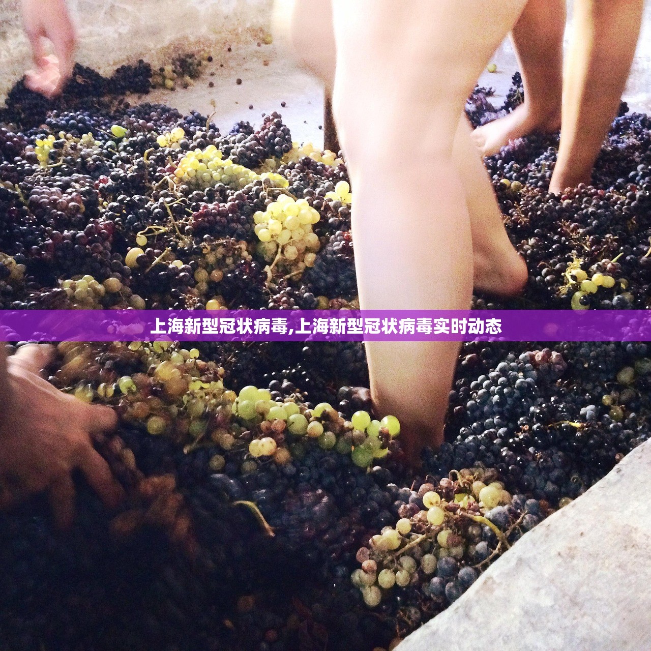 上海新型冠状病毒,上海新型冠状病毒实时动态