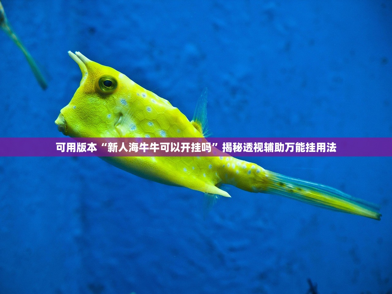 可用版本“新人海牛牛可以开挂吗	”揭秘透视辅助万能挂用法