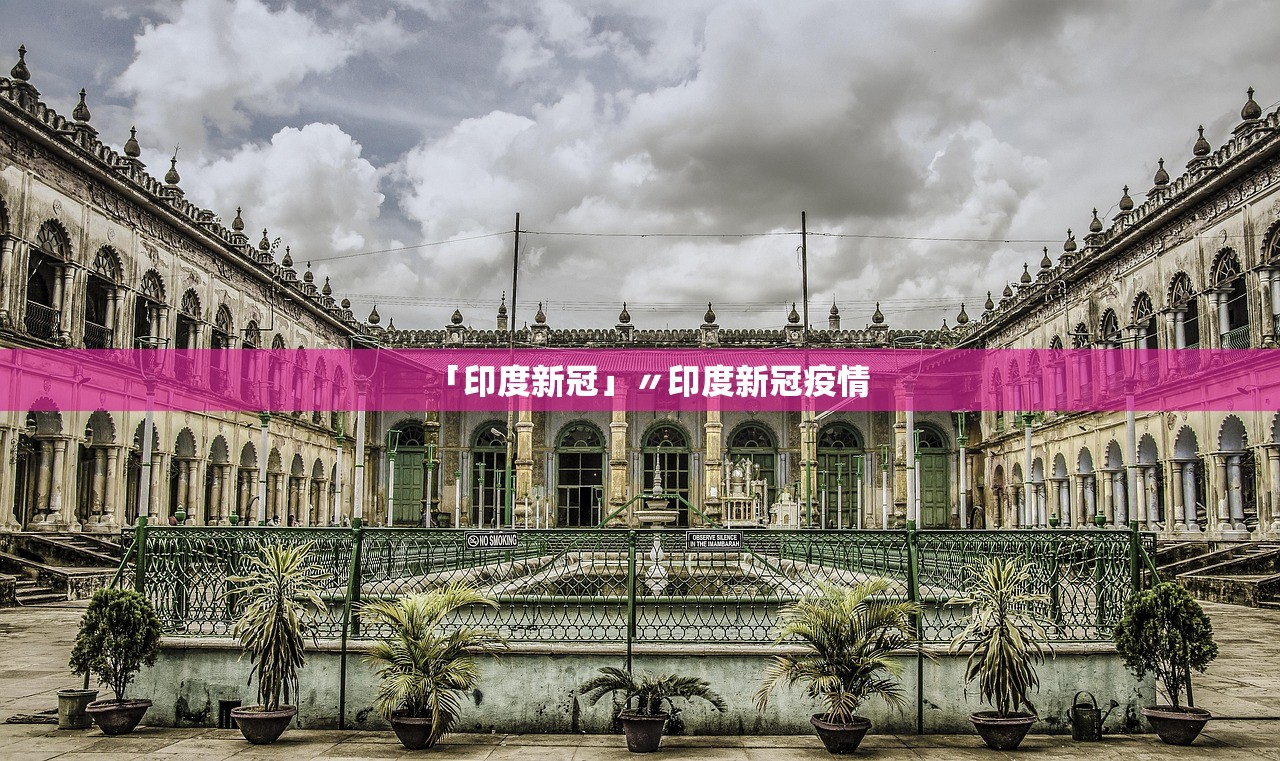 「印度新冠」〃印度新冠疫情