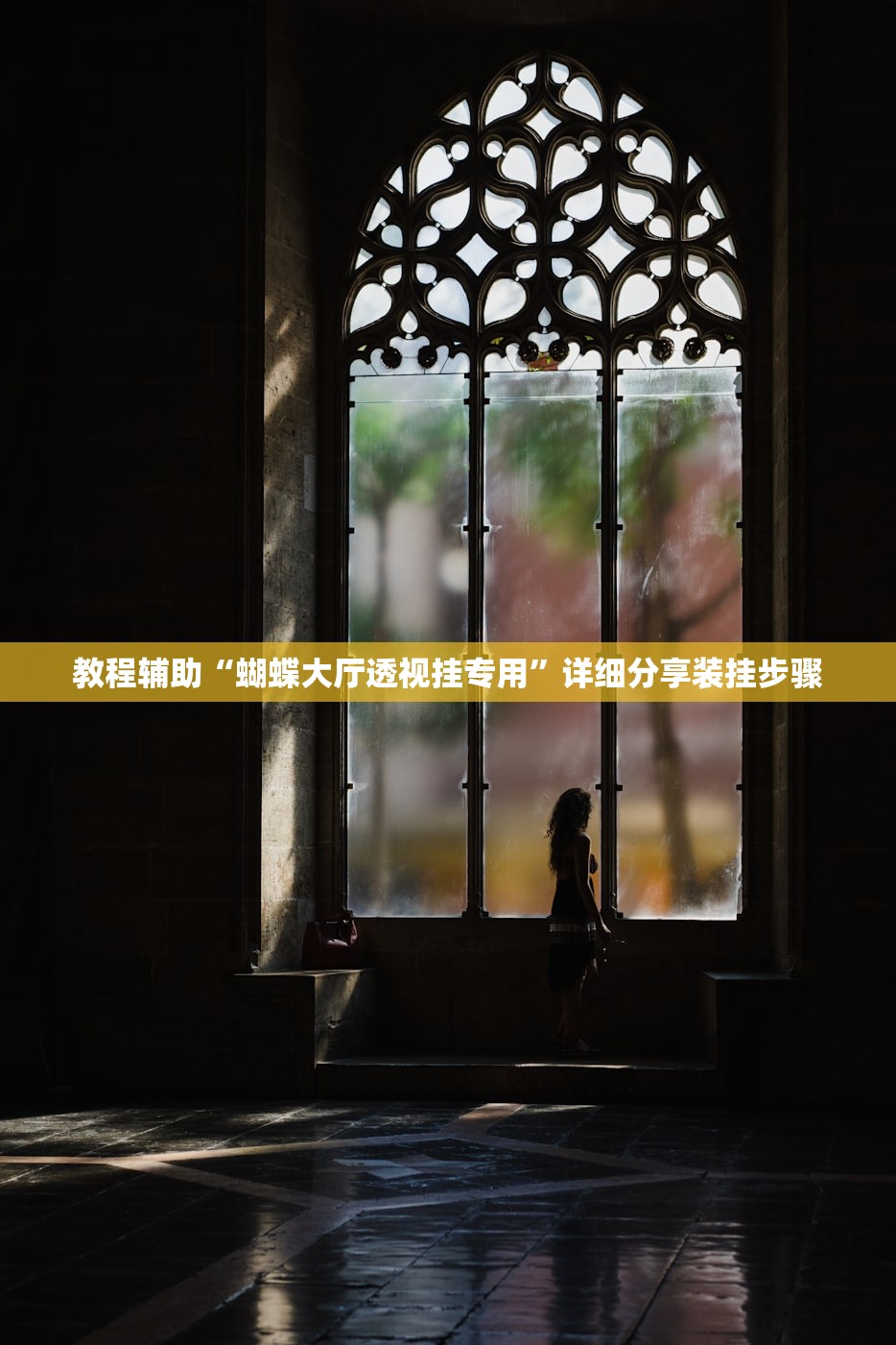 教程辅助“蝴蝶大厅透视挂专用”详细分享装挂步骤