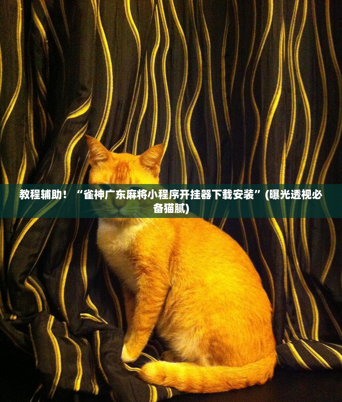 教程辅助！“雀神广东麻将小程序开挂器下载安装”(曝光透视必备猫腻)