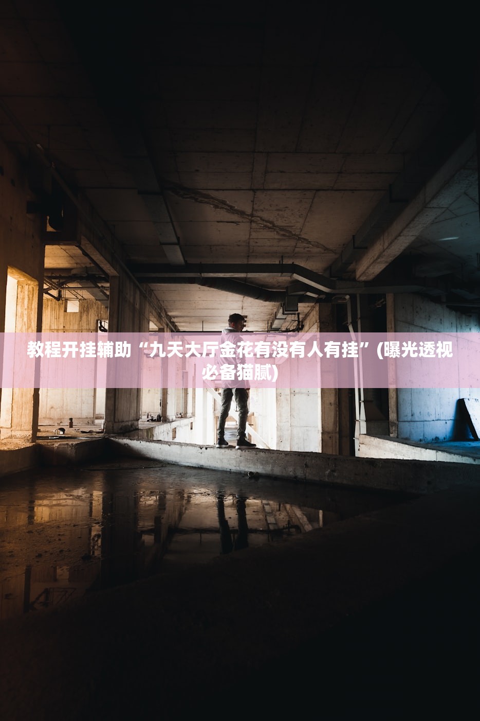 教程开挂辅助“九天大厅金花有没有人有挂”(曝光透视必备猫腻)