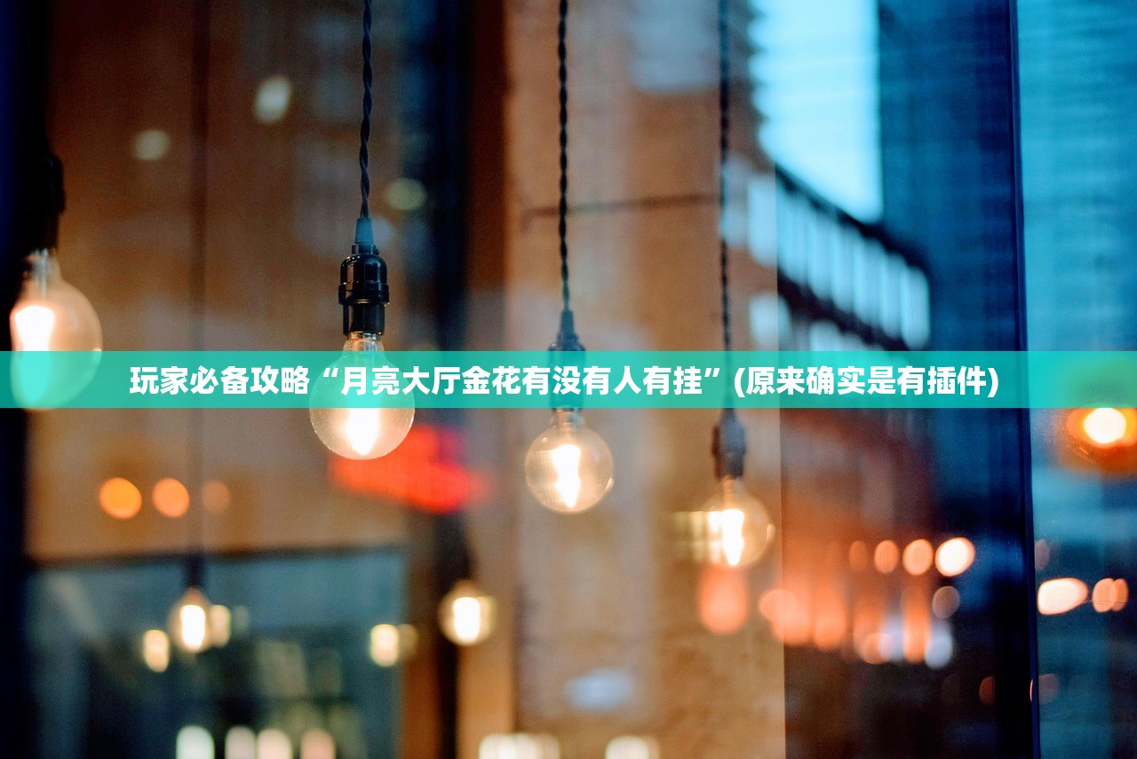 玩家必备攻略“月亮大厅金花有没有人有挂”(原来确实是有插件) 