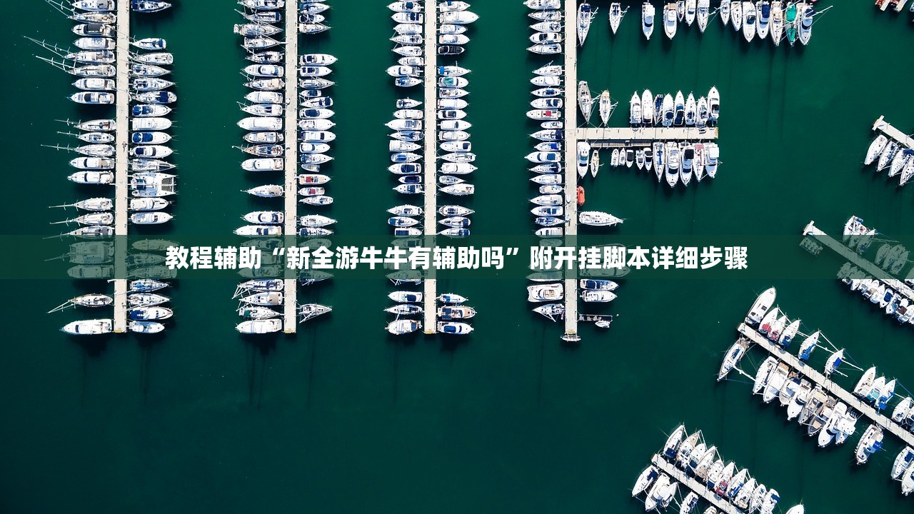 教程辅助“新全游牛牛有辅助吗”附开挂脚本详细步骤