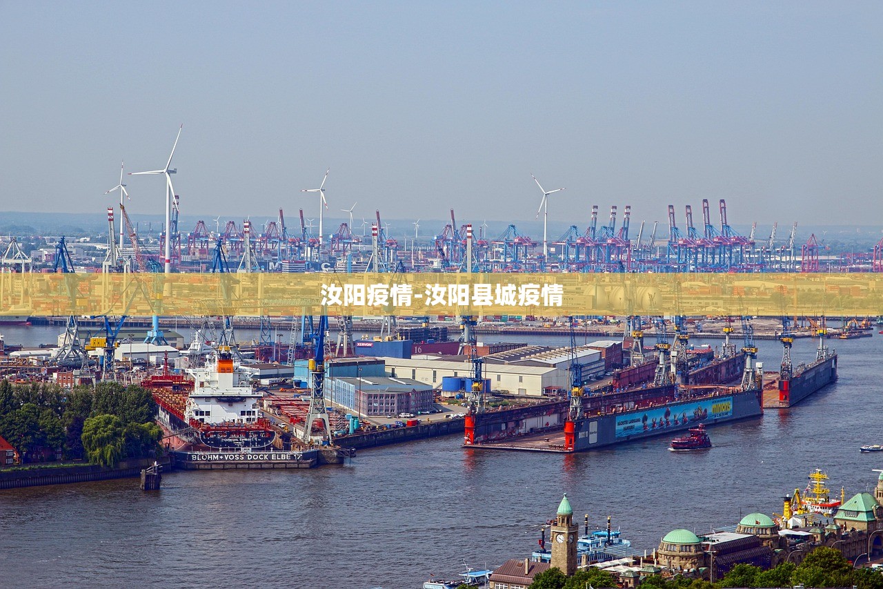 汝阳疫情-汝阳县城疫情