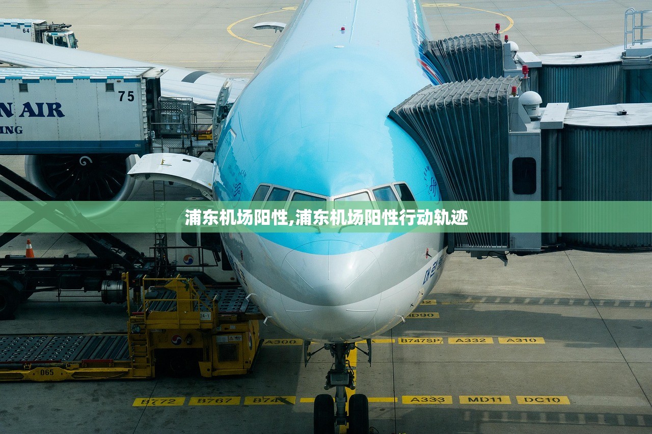 浦东机场阳性,浦东机场阳性行动轨迹